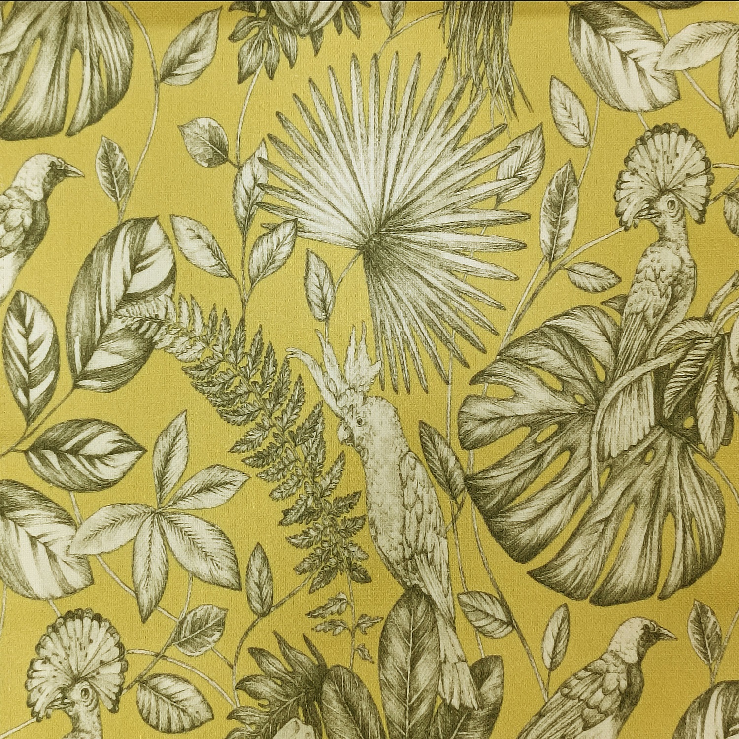 Lemondecor.com